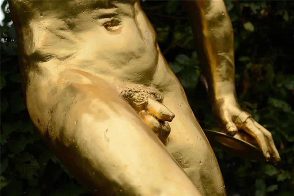 Die Prostata hat in etwa die Größe einer Kastanie und liegt unterhalb der Harnblase. Ihre Aufgabe: Sekret für das Ejakulat produzieren. picture alliance/dpa