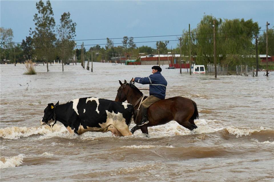 Die Provinz Buenos Aires ist eine bedeutende landwirtschaftliche Region. Rodrigo Abd/AP/dpa