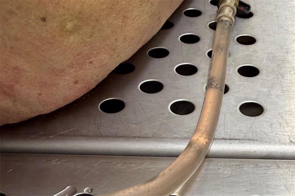 Die Pumpe läuft bei dem Vorgang ein paar Stunden. (Archivbild)Birgit Reichert/dpa