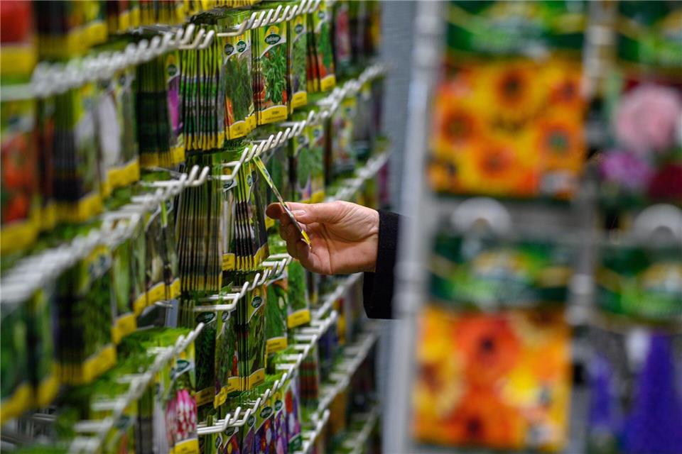 Die Qual der Wahl: Samentütchen verlocken, doch nicht alles passt am Ende in den Garten.picture alliance/dpa