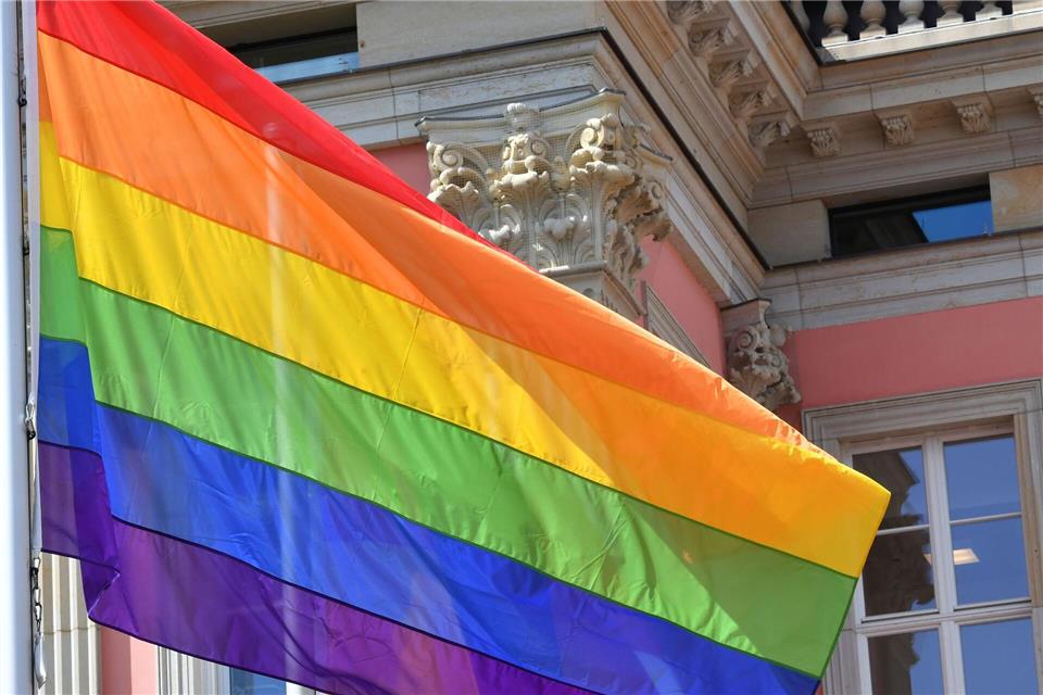 Die Regenbogenflagge soll auch am Landtag in Potsdam wehen. (Archivbild)Bernd Settnik/dpa-Zentralbild/dpa
