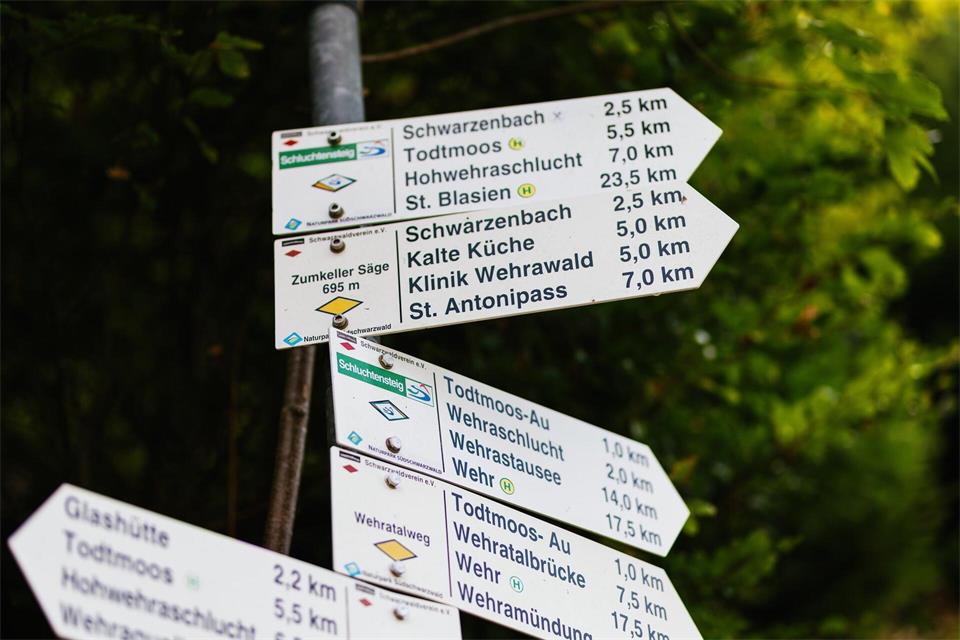 Die Region, in der nun gesucht wurde, hatten Forstexperten bereits vor drei Jahren kontrolliert.(Archivbild)Philipp von Ditfurth/dpa