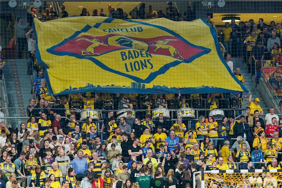 Die Rhein-Neckar Löwen wurden wegen eines formellen Verstoßes bestraft. (Archivbild)Uwe Anspach/dpa