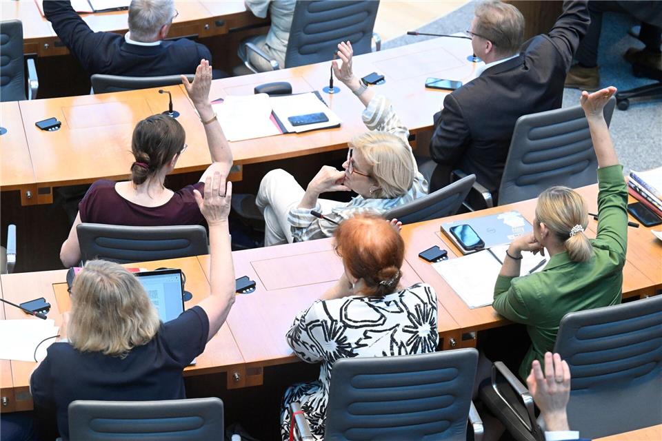 Die SPD hat dritte Lesungen für die umstrittenen Gesetze durchgesetzt. (Archivbild)Roberto Pfeil/dpa