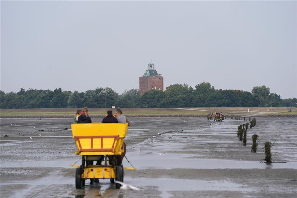 Die Sanierungsarbeiten des Neuwerker Leuchtturms haben begonnen. (Symbolbild)Marcus Brandt/dpa