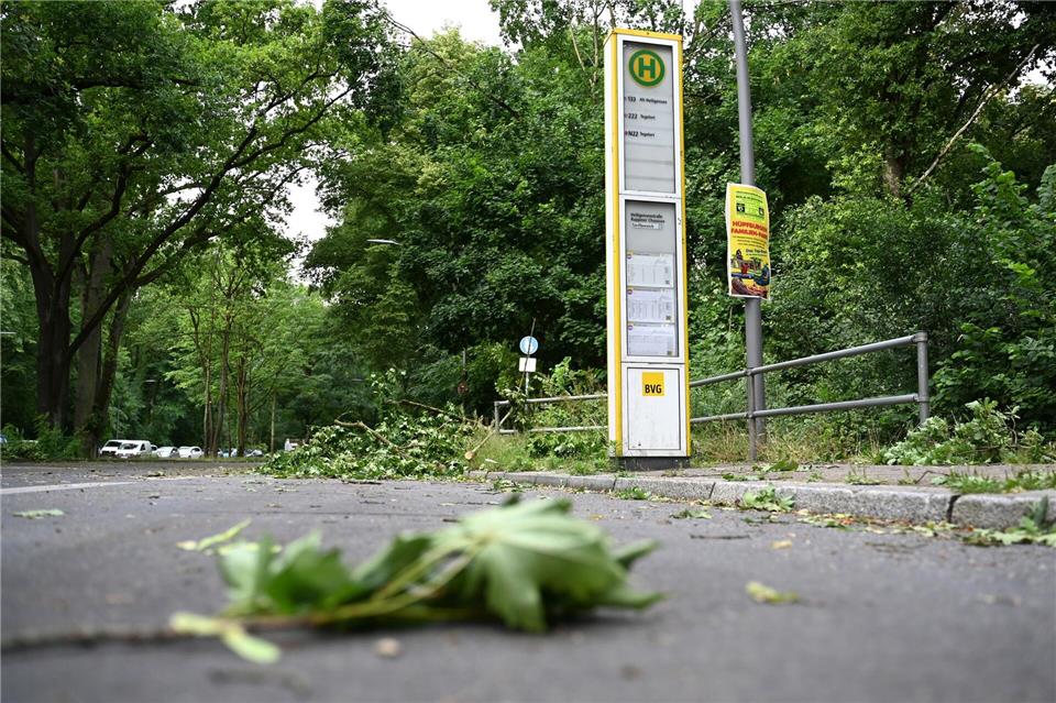 Die Schäden im Tegeler Forst sind erheblich.Michael Brandt/dpa