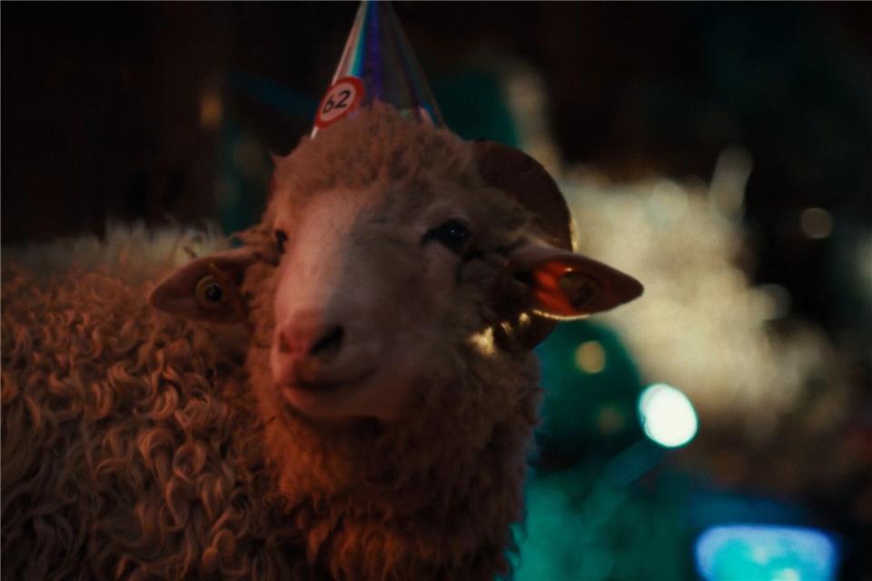 Die Schafe in der Serie „Sheep“ sehen sich selbst als die Krone der Schöpfung und gehen fest davon aus, die Menschen domestiziert zu haben. Patrick Wally/ZDF/dpa