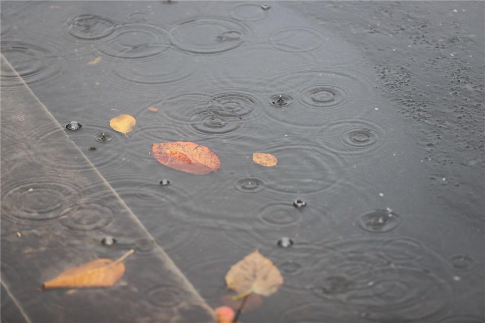 Die Schauer nehmen im Tagesverlauf laut DWD zu. (Symbolbild)Sascha Thelen/dpa