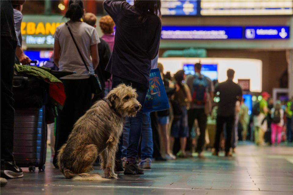 Die Schlange vor dem Infoschalter ist schier endlos.Andreas Arnold/dpa