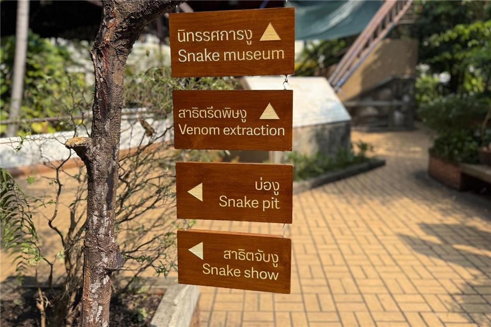 Die Schlangenfarm zur Gewinnung von Antiserum ist eine der ältesten ihrer Art weltweit.Carola Frentzen/dpa