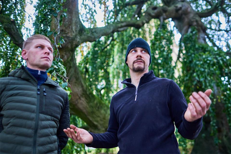 Die Schlossgärtner Yves Kanneberg (l) und Karl Wieck (r) haben die Buche bereits ins Herz geschlossen.Jens Büttner/dpa