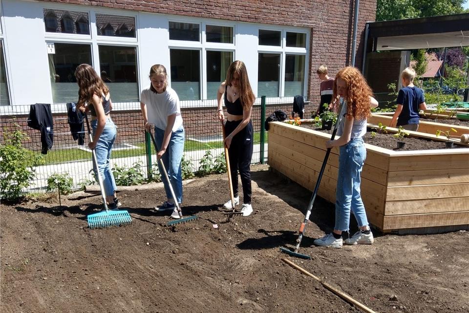 Die Schüler haben bei der Gestaltung des Gartens geholfen.