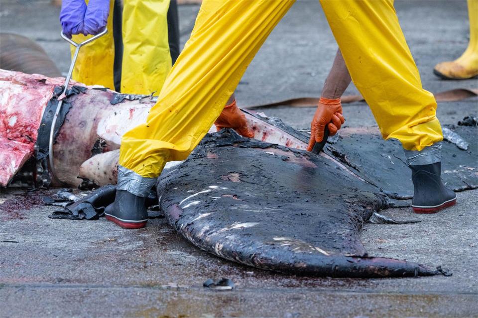 Die Sektion fand am Freitag und am Samstag im Freien statt.Stefan Sauer/dpa