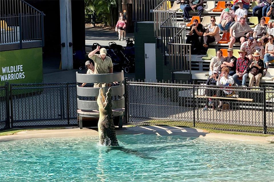 Die Show im „Crocoseum“ ist spektakulär.Carola Frentzen/dpa