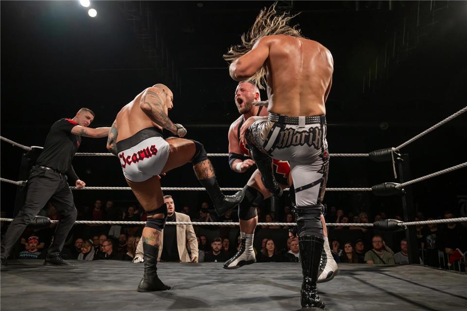 Die Shows von wXw versprechen intensive Action.