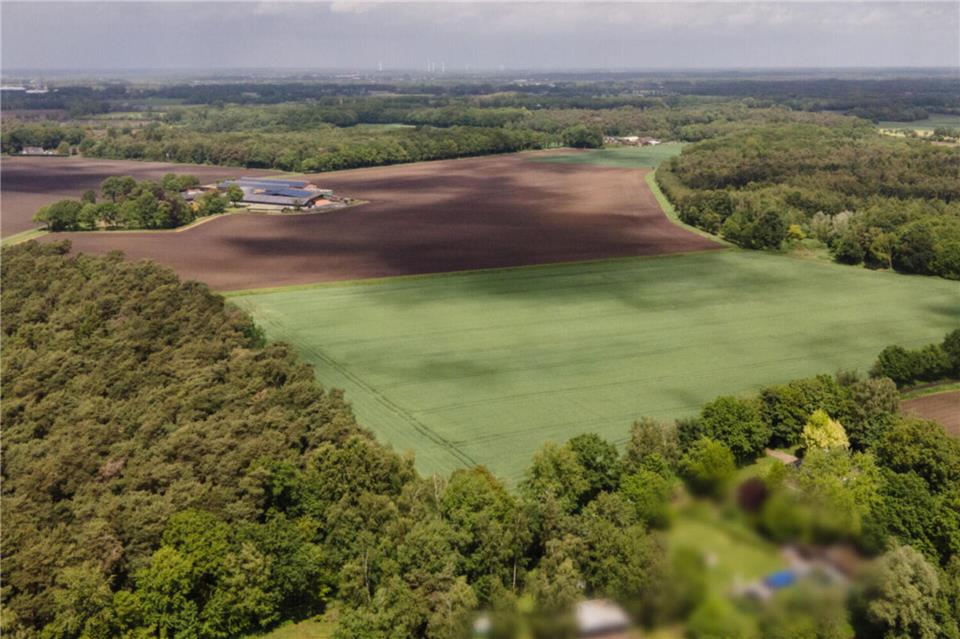 Die Solaranlage in Krommert würde sich über alle hier sichtbaren Äcker und Wiesen am Hagensfeld erstrecken.