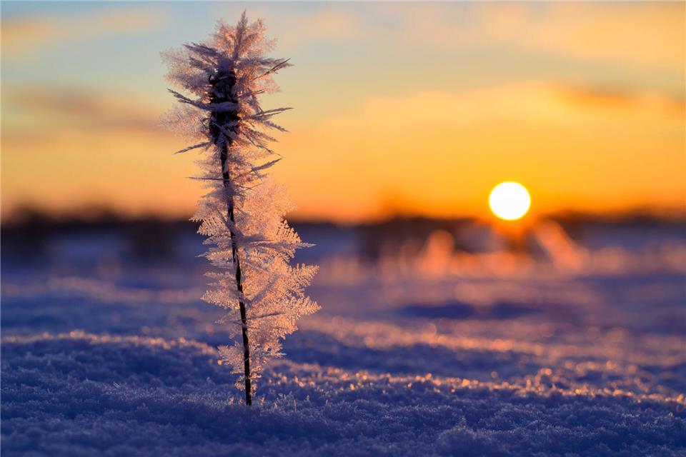 Die Sonne hat deutlich mehr Stunden eingesammelt als im Vergleichszeitraum. (Archivbild)Patrick Pleul/dpa