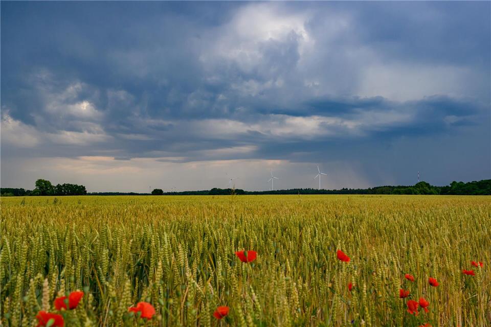 Die Sonne ist in den nächsten Tagen kaum hinter der dichten Wolkendecke zu sehen. (Symbolbild)Patrick Pleul/dpa