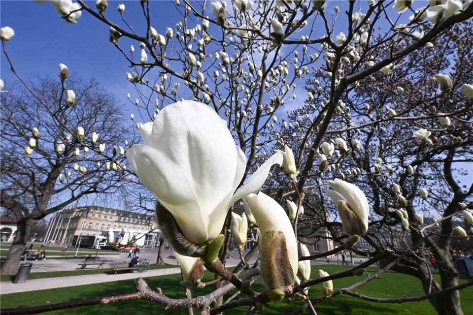 Die Sonne meldet sich in Baden-Württemberg zurück. (Symbolbild)Bernd Weißbrod/dpa