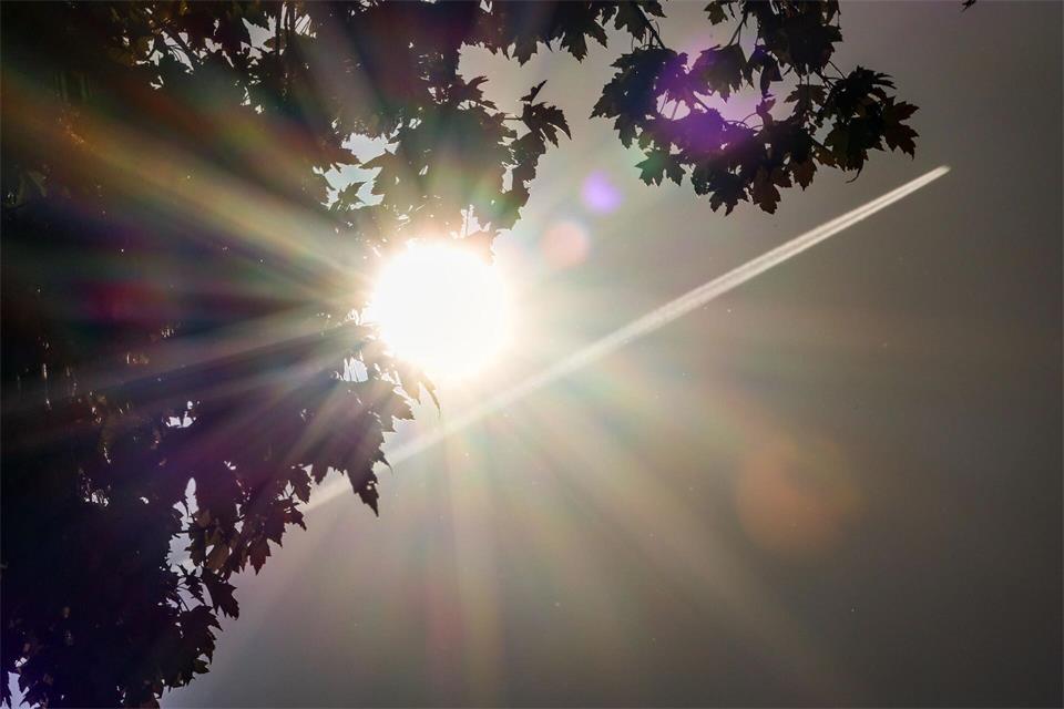 Die Sonne schaut hinter einer Baumkrone hervor. (Archivbild)Christoph Reichwein/dpa