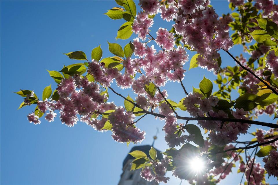 Die Sonne scheint fast überall den ganzen Tag. (Archivbild)Stefan Puchner/dpa