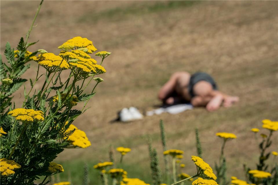 Die Sonne setzt sich in Rheinland-Pfalz und dem Saarland mindestens bis zum Mittag verbreitet durch. (Symbolbild)Andreas Arnold/dpa