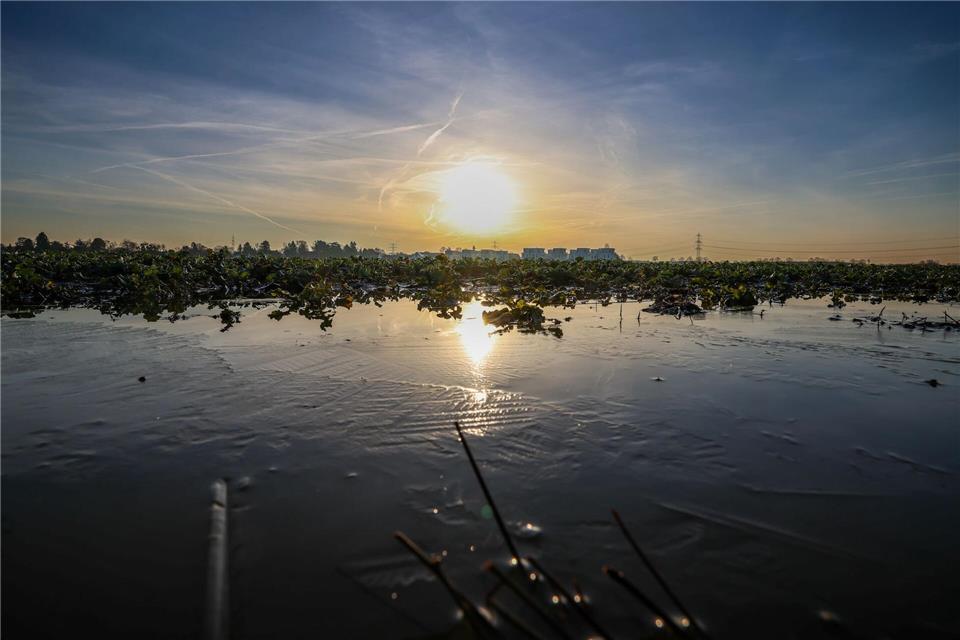 Die Sonne zeigt sich in den nächsten Tagen vermehrt. (Symbolbild)Christoph Reichwein/dpa