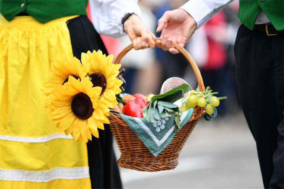 Die Sonnenblume ist das Symbol des Deutschen Weinlesefests in Neustadt an der Weinstraße. (Archivbild)picture alliance / Uwe Anspach/dpa