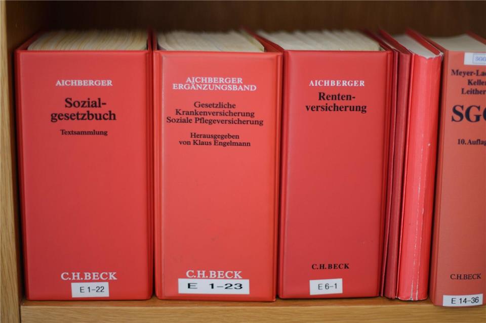 Die Sozialgesetze müssten aus Sicht einer Expertin vereinfacht werden. (Symbolbild)picture alliance / dpa