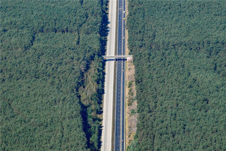 Die Sperrung der A15 ist wieder aufgehoben. (Archivbild)Patrick Pleul/dpa-Zentralbild/ZB
