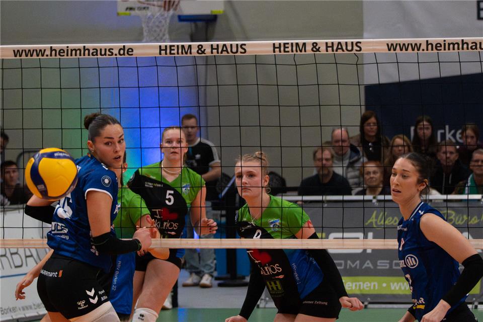 Die Spielerinnen des Allianz MTV Stuttgart hatten des Öfteren das Nachsehen gegen die Gastgeber aus Borken.