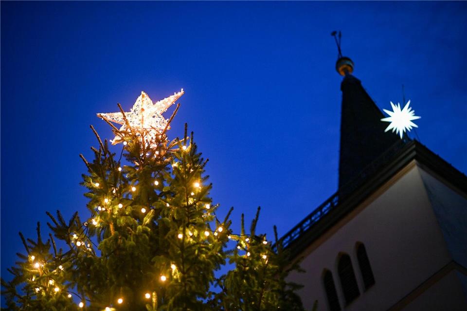 Die Stadt Beelitz spart an Weihnachtsbäumen: Die Exemplare für die Marktplätze fallen in diesem Jahr kleiner aus. (Archivbild)Jens Kalaene/dpa-Zentralbild/ZB