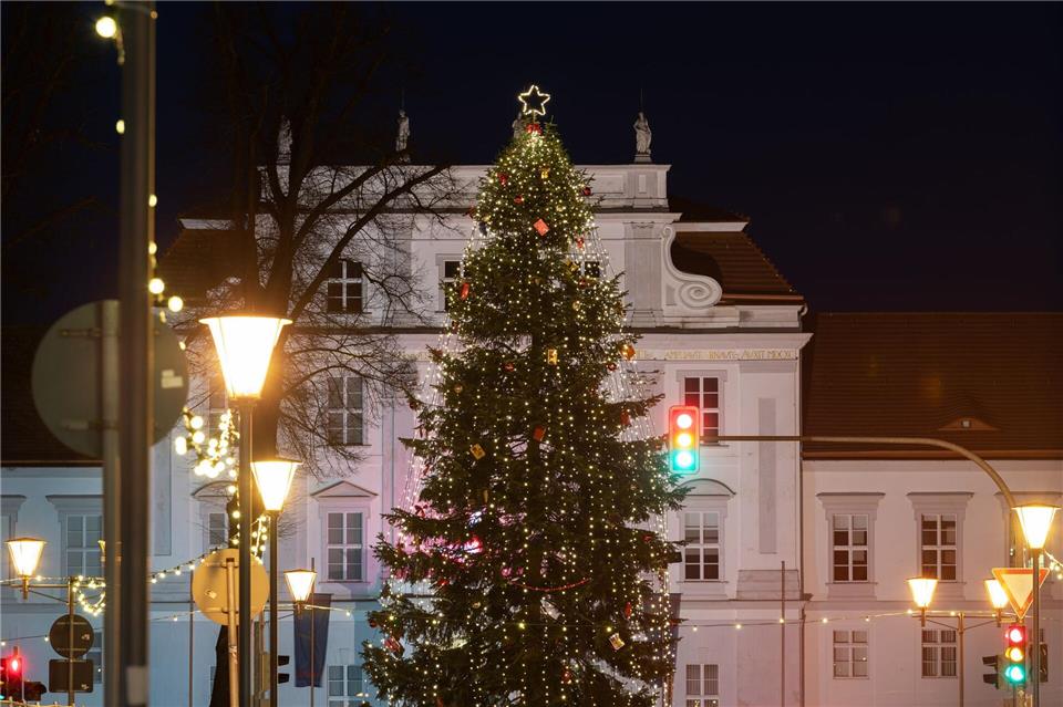 Die Stadt Oranienburg ist auf der Suche nach einem Weihnachtsbaum für die nächste Adventszeit. (Archivfoto)Soeren Stache/dpa-Zentralbild/ZB