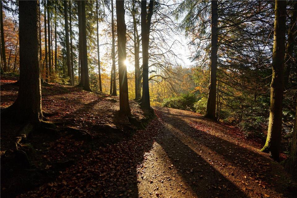 Die Stadt Remscheid hat mehr als 100.000 Einwohner und liegt im Bergischen Land. Sie ist gut gegen Klimagefahren gewappnet. (Archivbild)Henning Kaiser/dpa