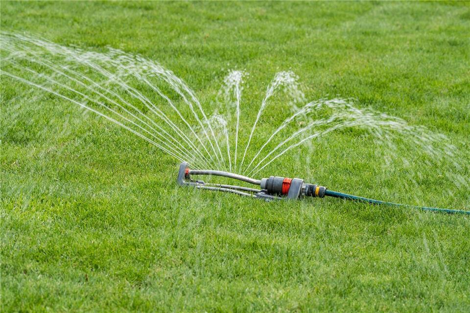 Die Stadtwerke rufen die Bürger zum Wassersparen auf. Auf das Bewässern von Rasen solle verzichtet werden.Silas Stein/dpa