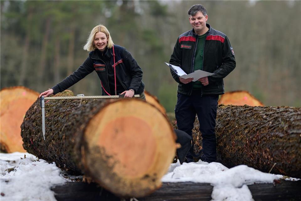 Die Stämme kommen aus den Wäldern Niedersachsens und Mecklenburg-Vorpommerns.Philipp Schulze/dpa