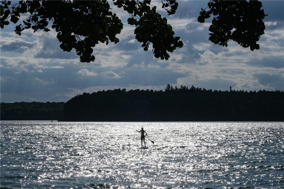 Die Stechlin-Maräne ist jetzt vom Aussterben bedroht (Archivbild)Jens Kalaene/dpa-Zentralbild/ZB