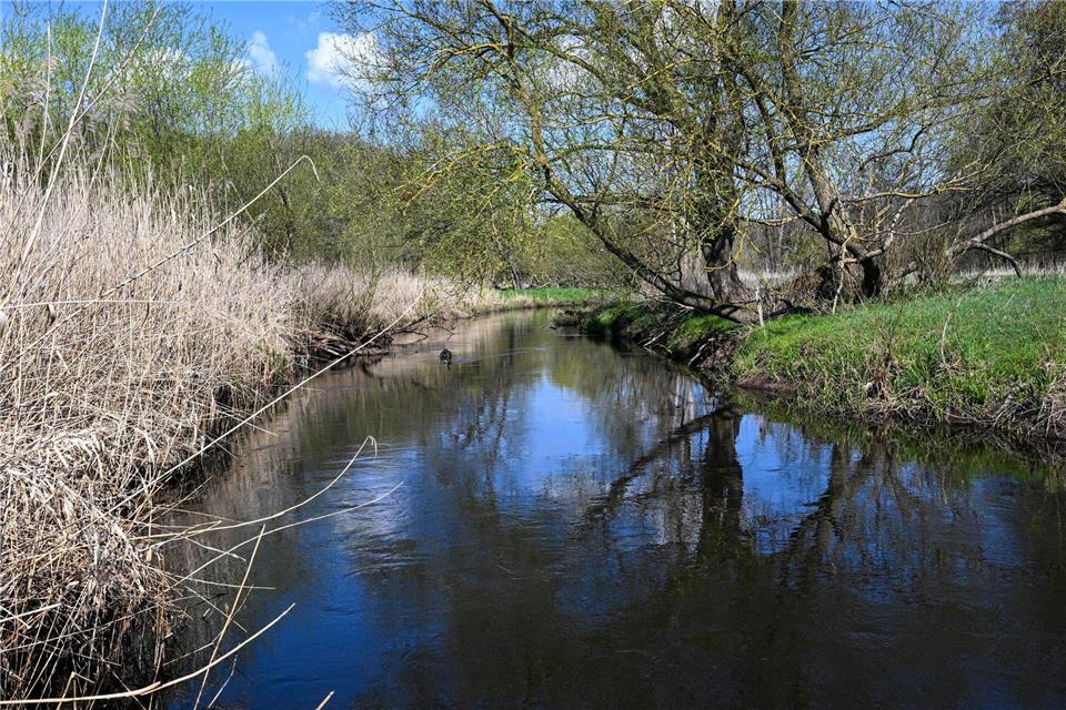 Die Stepenitz fließt auch im Norden von Brandenburg. (Archivbild)Jens Kalaene/dpa