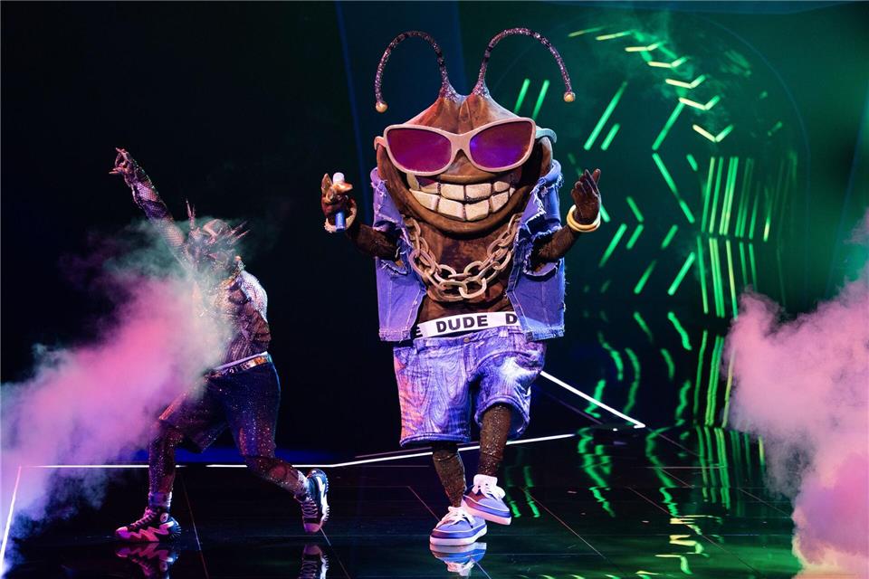 Die Stinkwanze „Dude“ ist bei der ProSieben-Show „The Masked Singer“ raus. (Archivbild)Rolf Vennenbernd/dpa