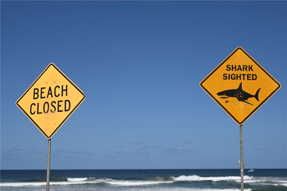 Die Strände in der Region wurden zunächst gesperrt. (Symbolbild)Dean Lewins/AAP/dpa