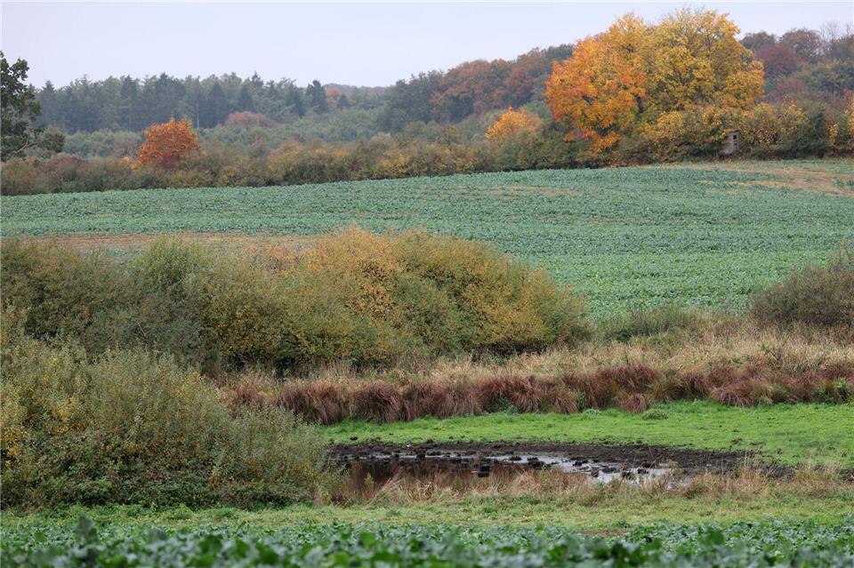 Die Suchmaßnahmen im Umfeld der Stelle, an der in der Nähe Güstrows am Dienstag ein toter Junge gefunden wurde, sind augenscheinlich abgeschlossen. Bernd Wüstneck/dpa