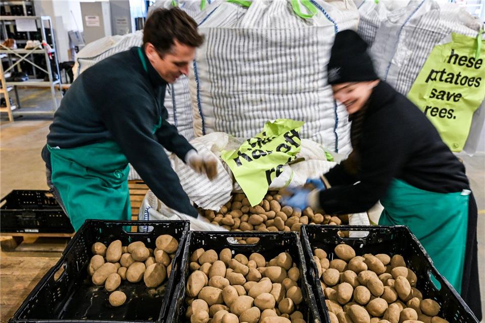 Die Tafel hat 22 Tonnen Kartoffeln genommen.Jens Kalaene/dpa