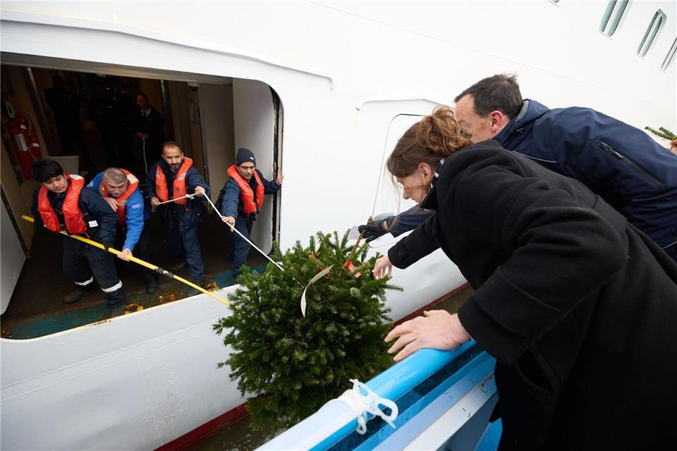 Die Tannenbäume kommen auf unterschiedliche Arten auf die Schiffe. Georg Wendt/dpa