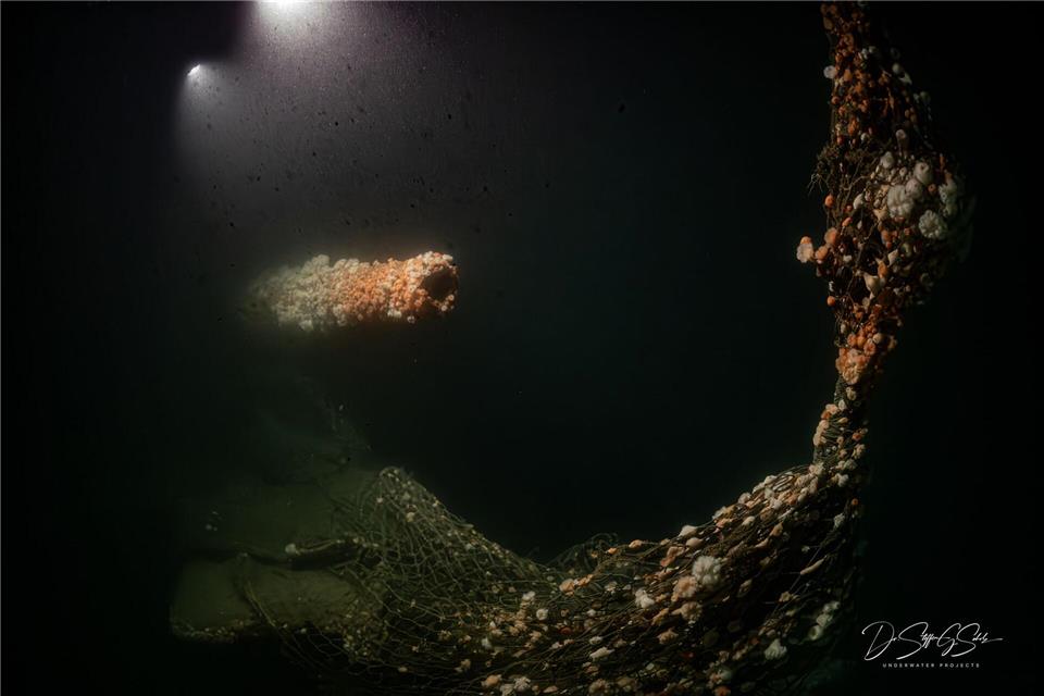 Die Tauchgänge fanden nach Angaben des Teams in großer Tiefe und unter herausfordernden Bedingungen statt.Dr. Steffen G. Scholz/ProjectXplore /dpa