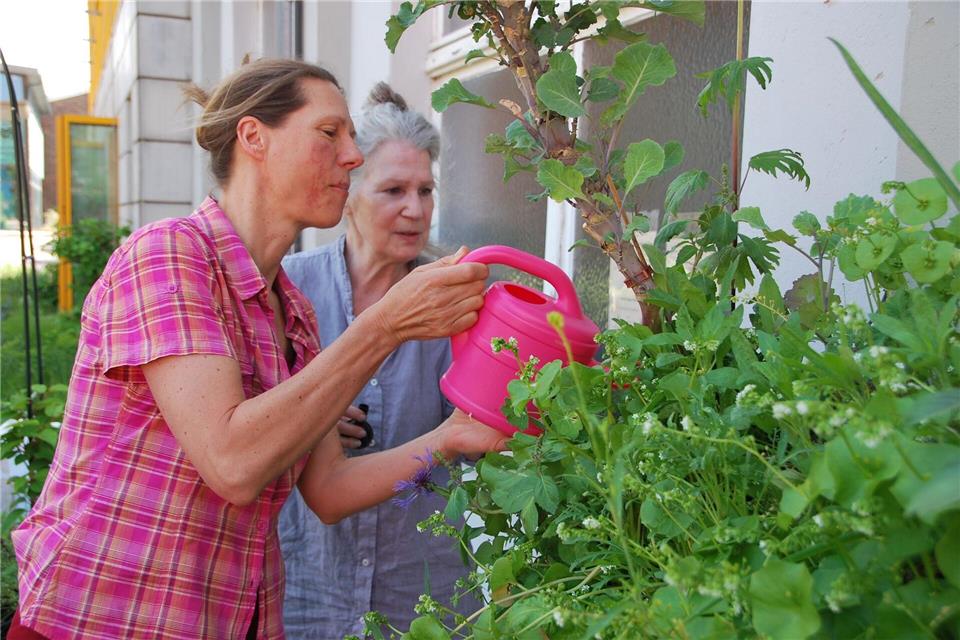 Die Teilnehmerinnen schätzen die praktische Arbeit in der Gemeinschaft.Anja Sokolow/dpa-Zentralbild/dpa