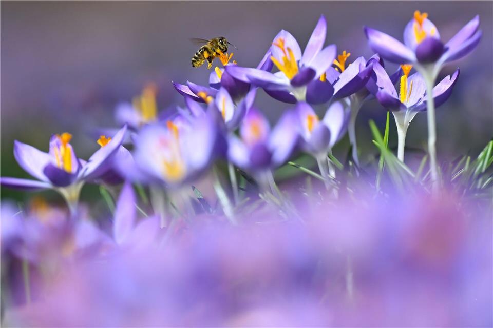 Die Temperaturen in Bayern steigen weiter an.Sven Hoppe/dpa