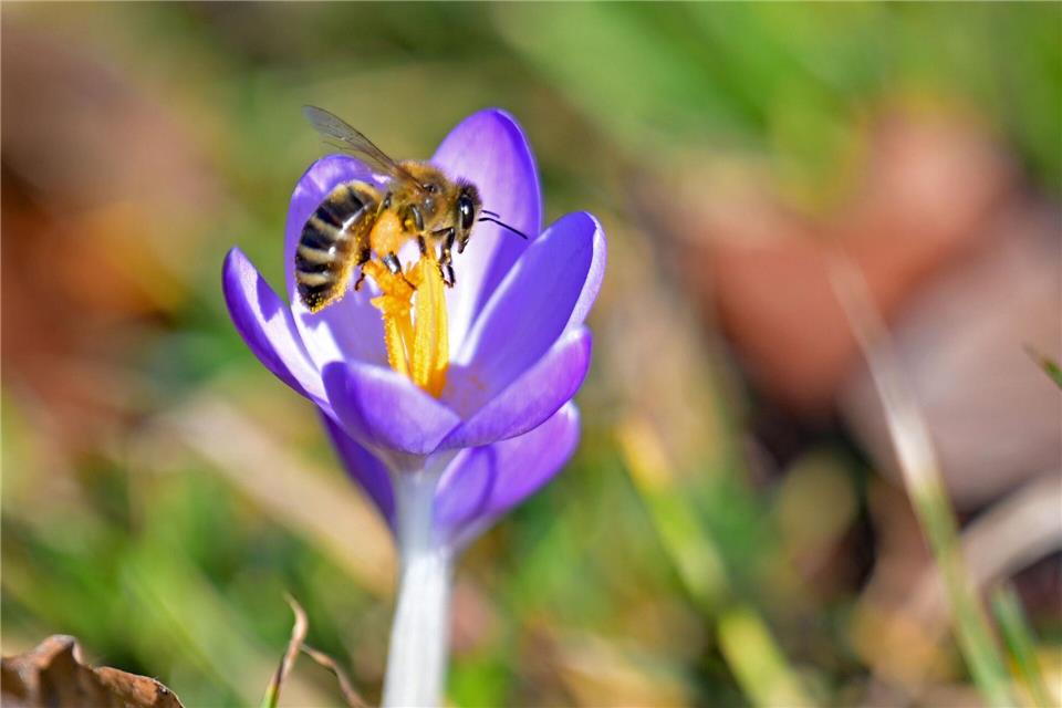 Die Temperaturen in Bayern steigen weiter.Malin Wunderlich/dpa