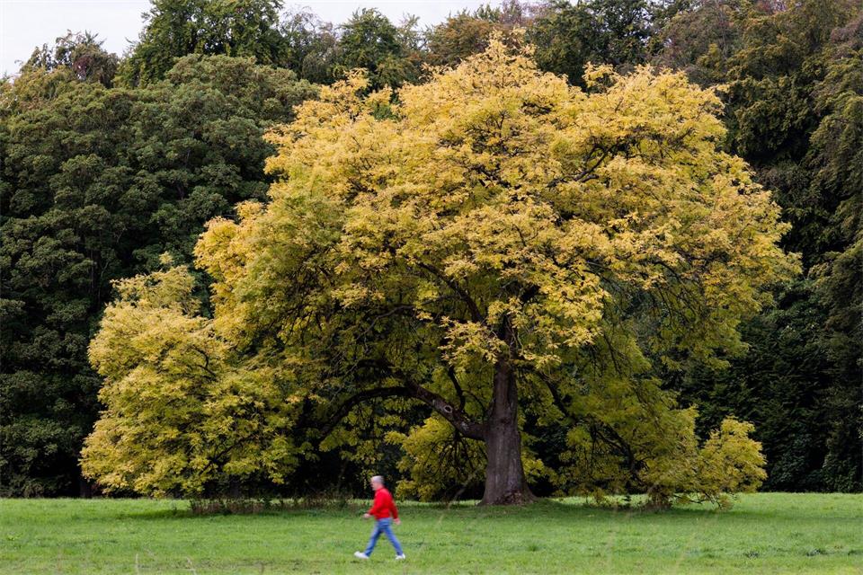 Die Temperaturen in NRW erreichen am Freitag bis zu 25 Grad. (Archivbild)Rolf Vennenbernd/dpa