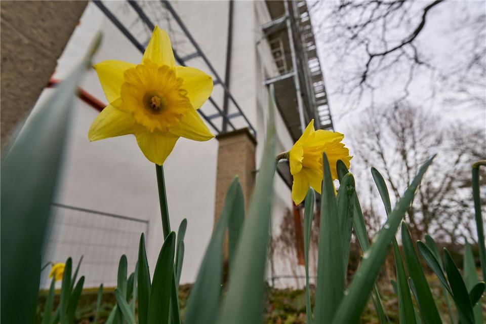 Die Temperaturen könnten bis zu 18 Grad erreichen. Sascha Ditscher/dpa