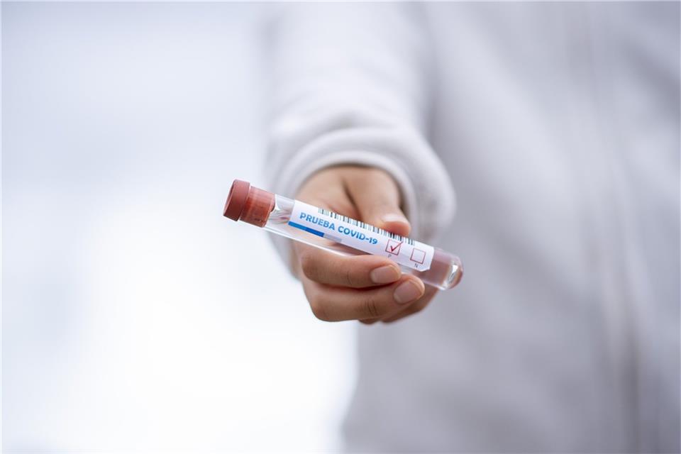 Die Tests in Schlachtbetrieben fielen im Kreis Borken alle negativ aus.